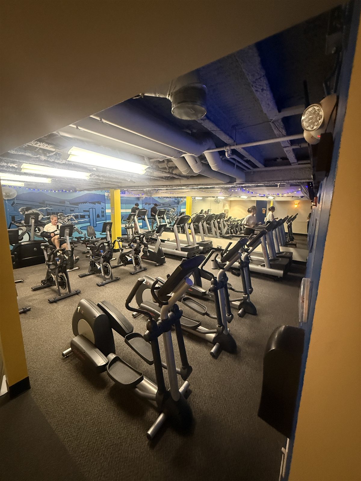 The cardio corner at ONE Boulder Fitness, with bikes, ellipticals and treadmills below the club's mountain mural